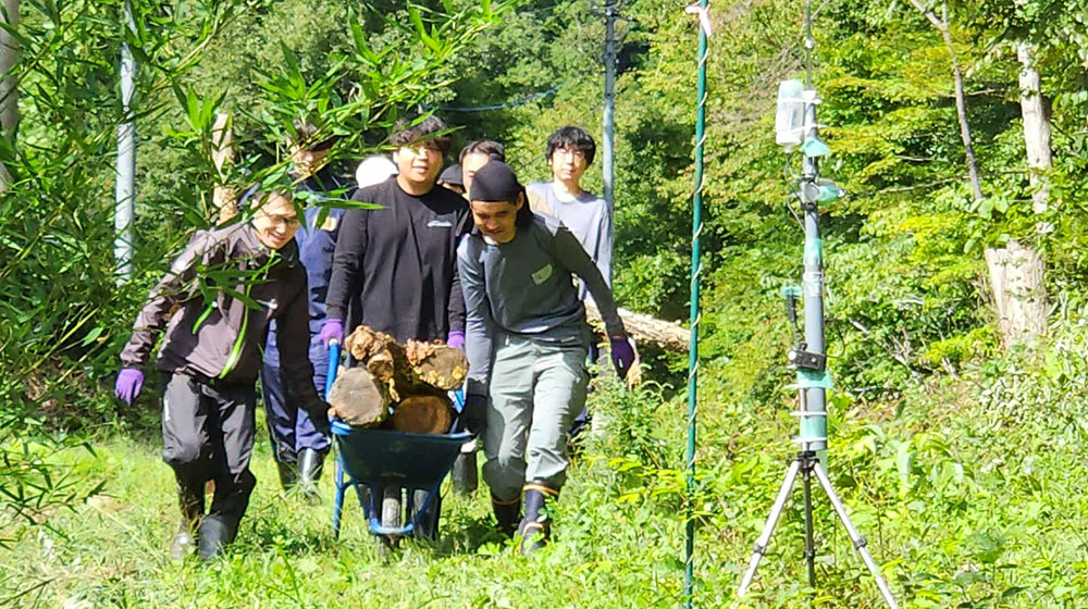 特定非営利活動法人しんせい